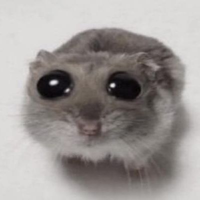 talantid FACEIT avatar