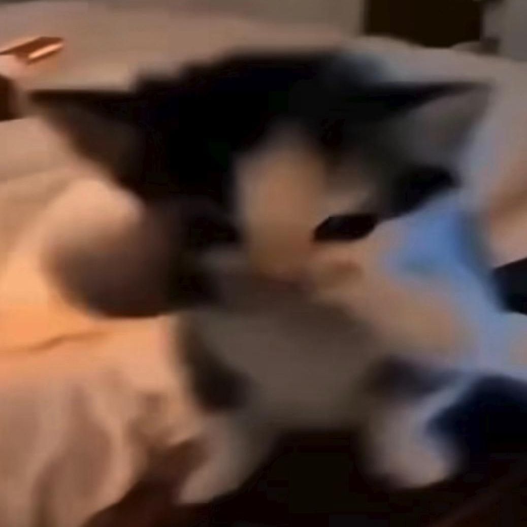elvis12