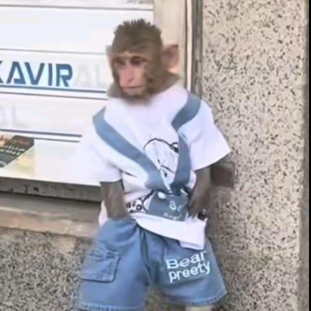 zayn660
