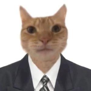 P_A_N_D_O avatar