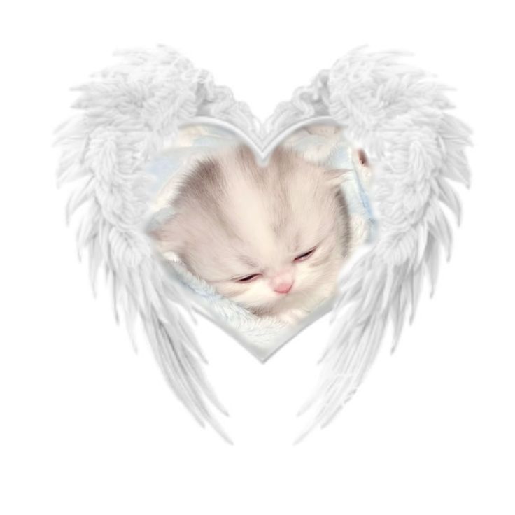 x0f666 FACEIT avatar