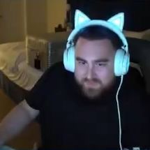 LazyHedgehog