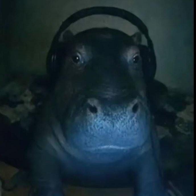 kirpich678 avatar