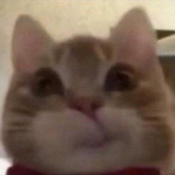 Kvasr avatar