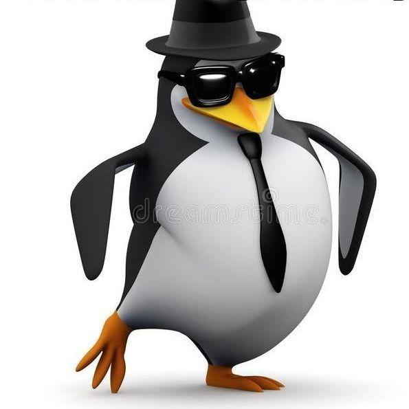 pinguinini avatar