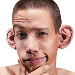 Reverexxl avatar