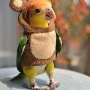 alastair2 avatar
