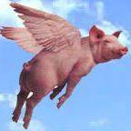 Pigasus avatar