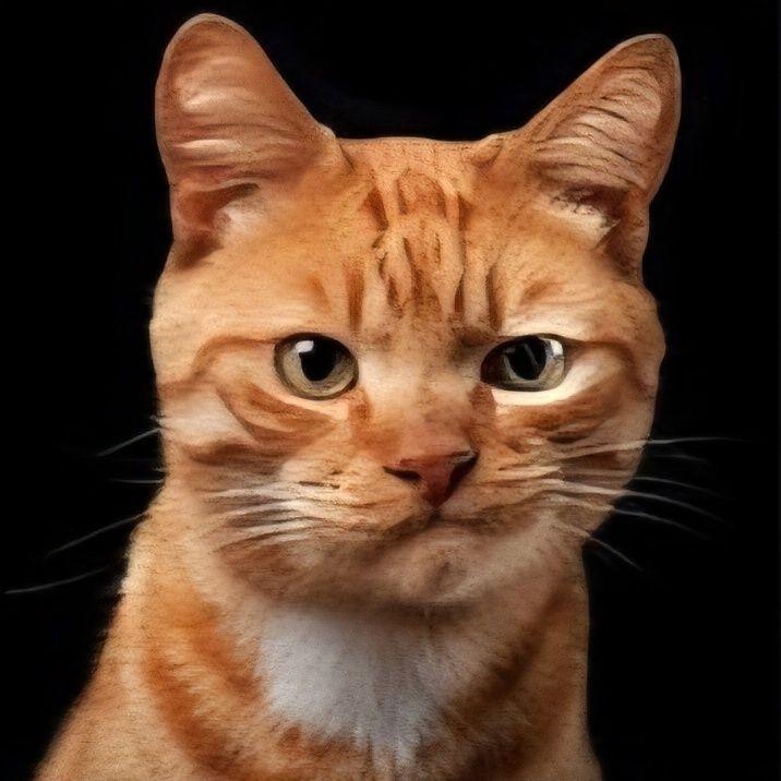 catAlbert72 avatar