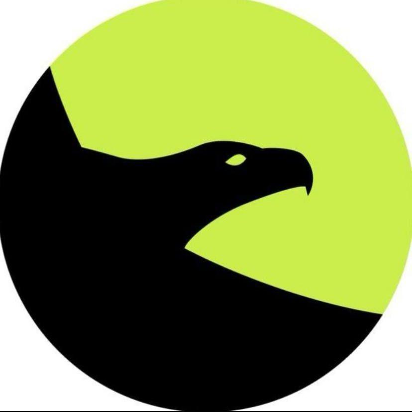MSU Falcons