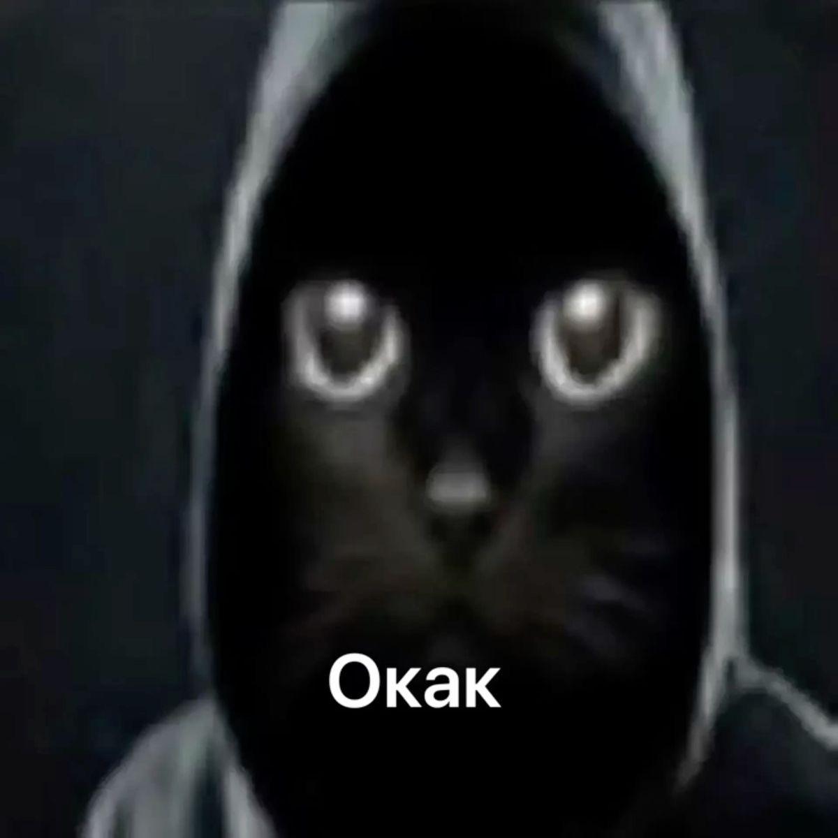 Texh666