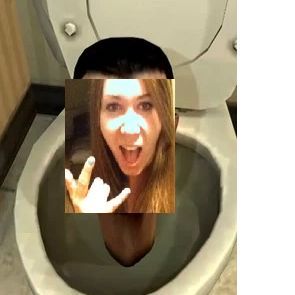 skibidi toilet