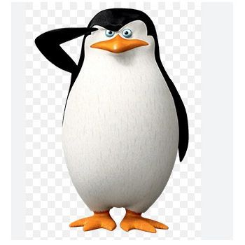 SkiperHead