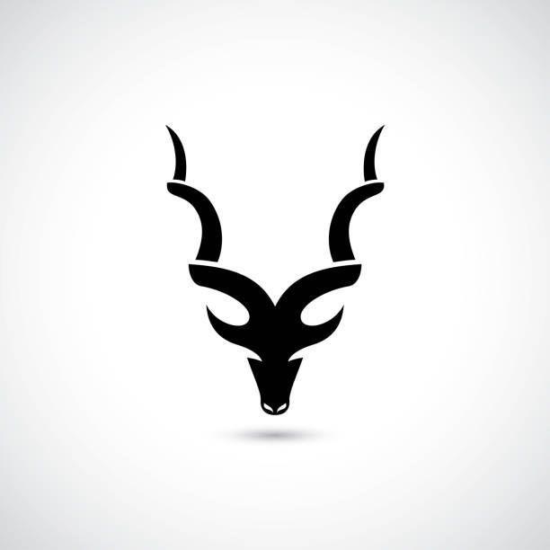 bot_talllica avatar
