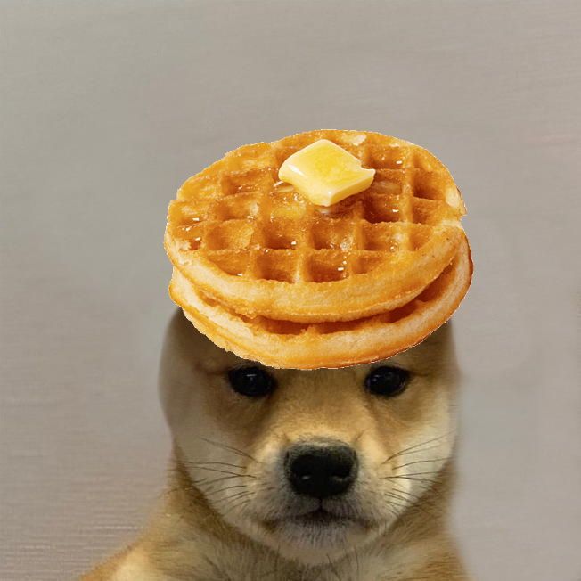 Waffles-444