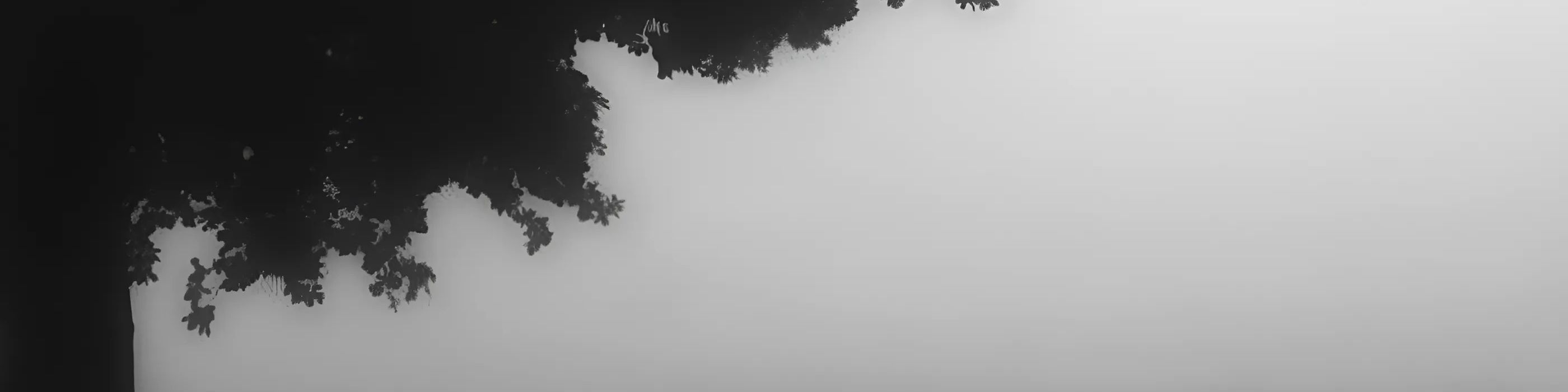 Faceit banner for @wwrz