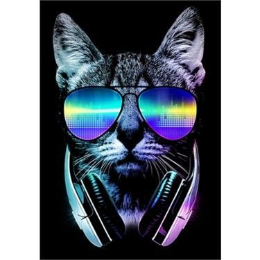 Discolata avatar