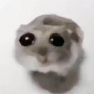 lihtbtw avatar