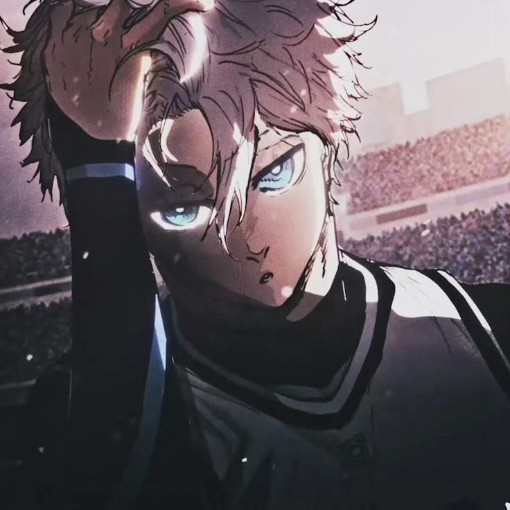 Wolf-12