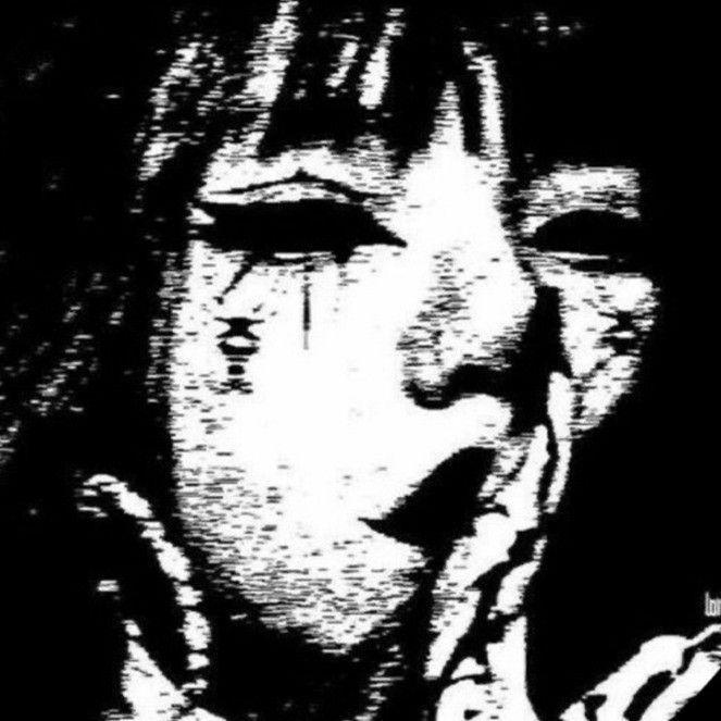 daan3o avatar