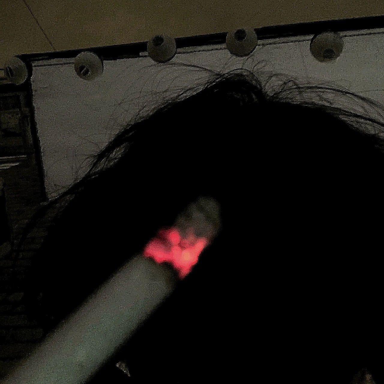lantana21 avatar
