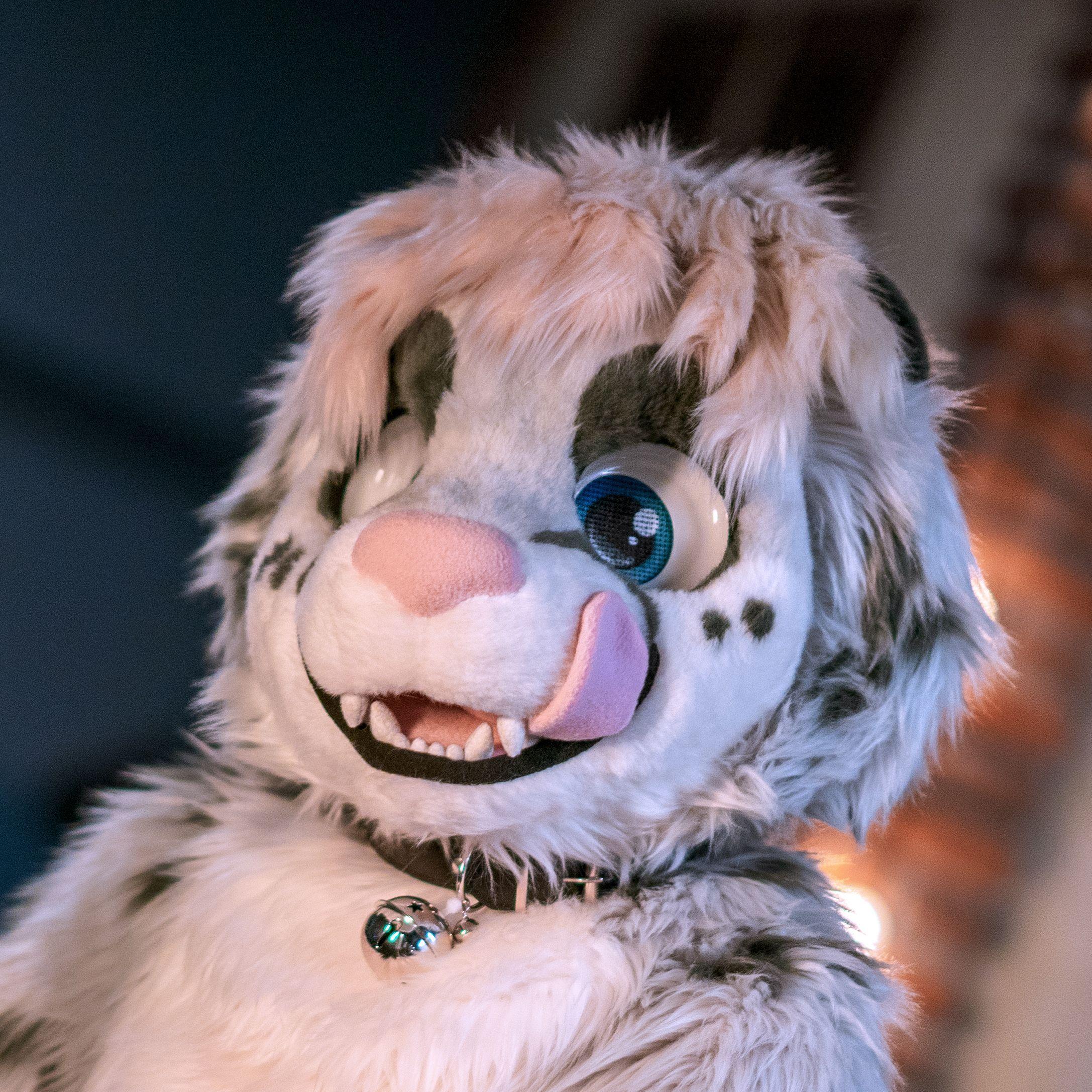 snepside avatar