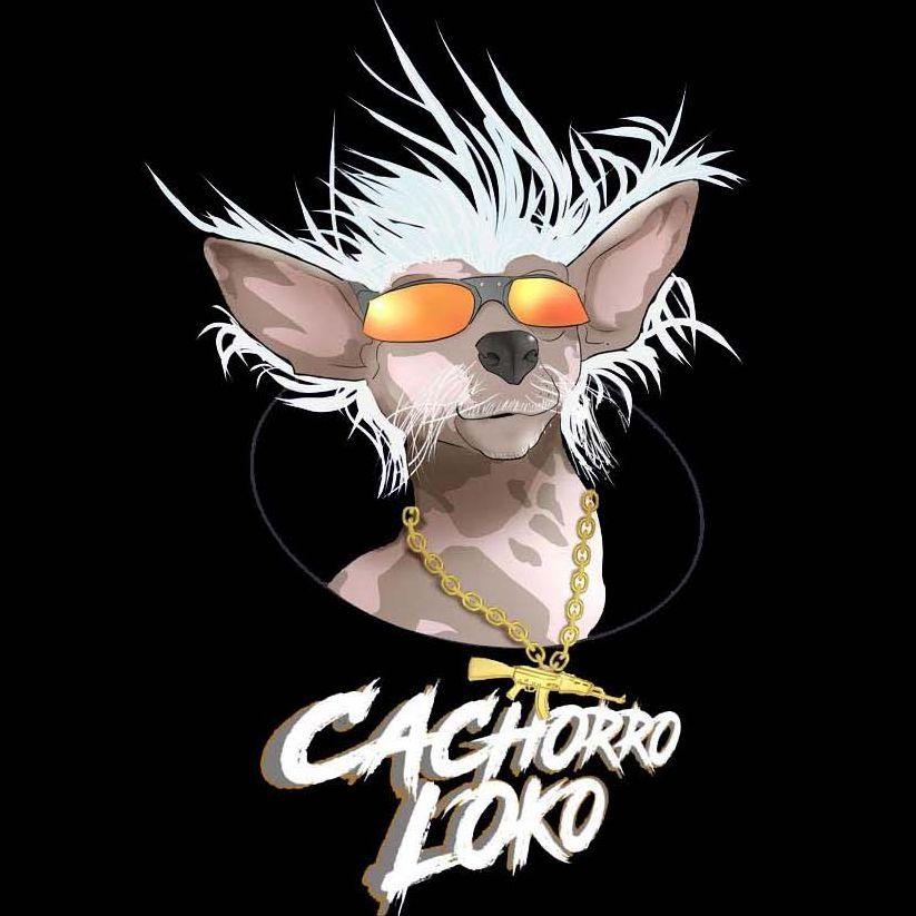 Player CachorroLoke avatar