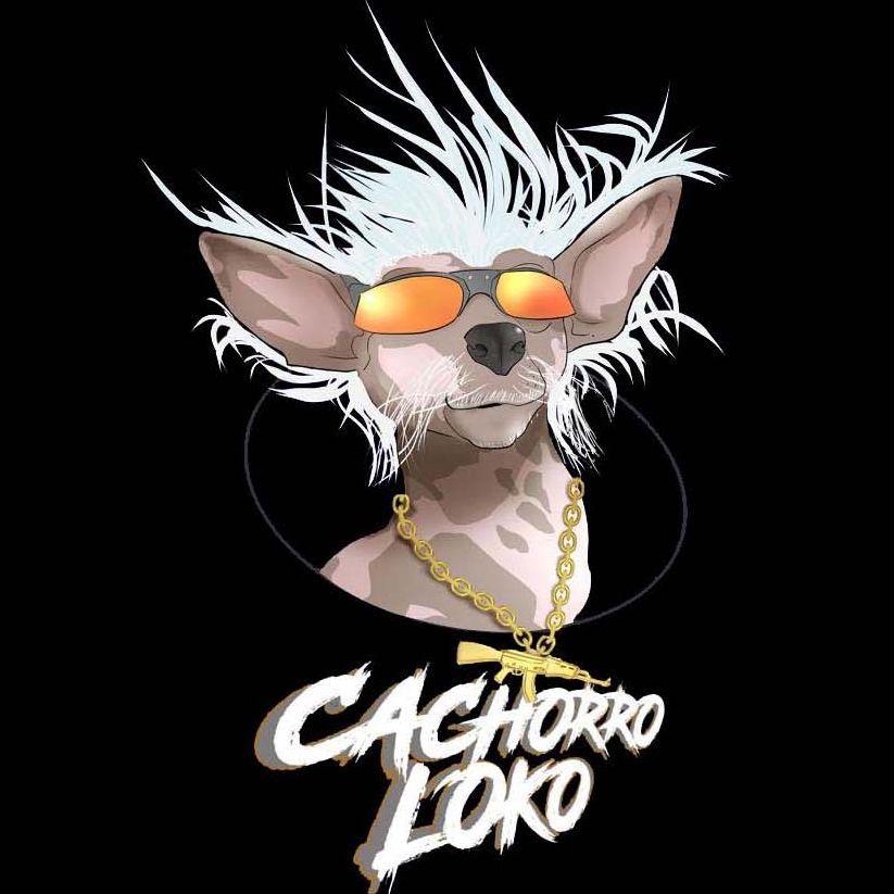 CachorroLoke avatar