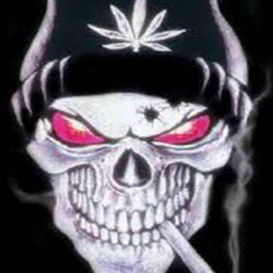 F4N3q avatar