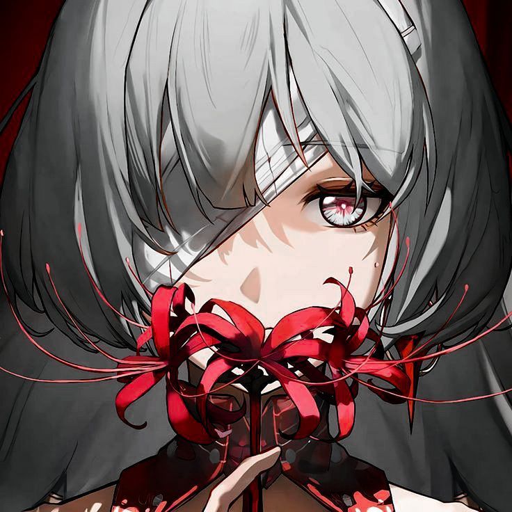 kyouuka