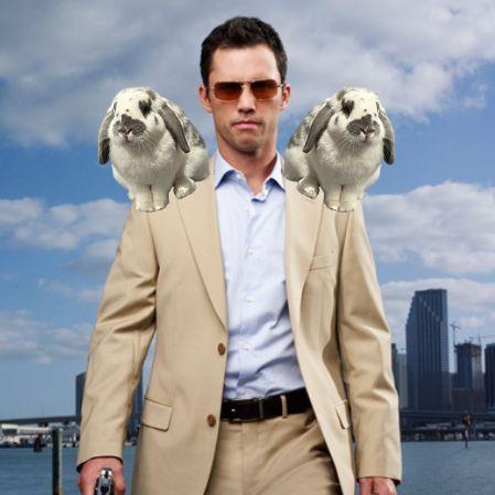 MabelWesten avatar