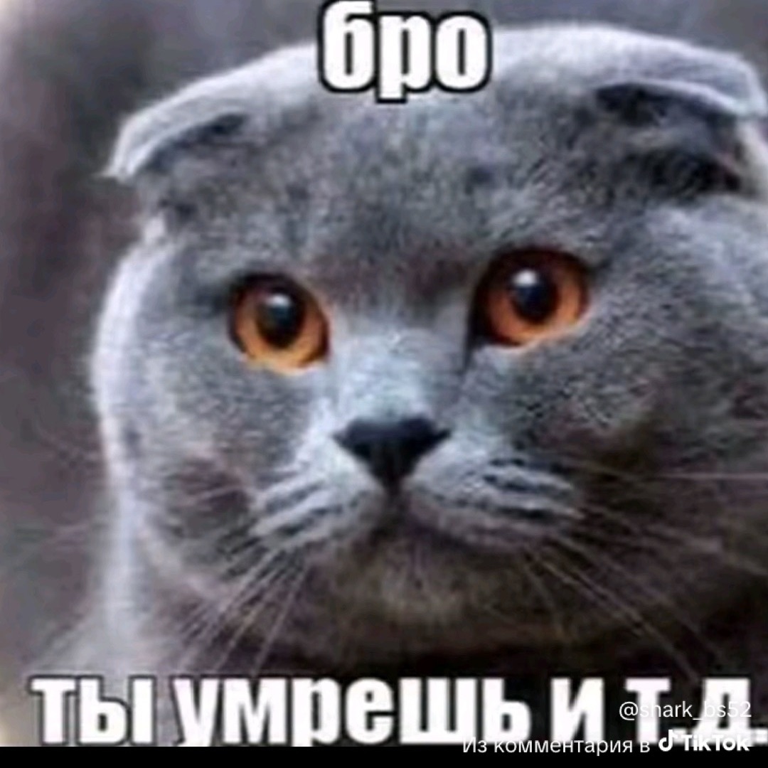 -ssshameless
