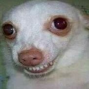 Gapehorn