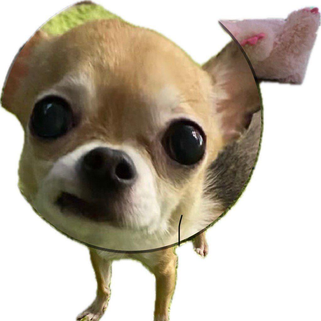 lolwo avatar