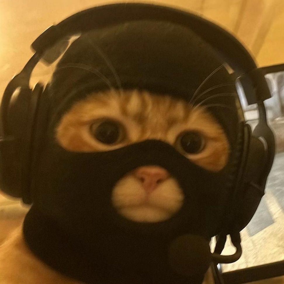 hapickGG FACEIT avatar