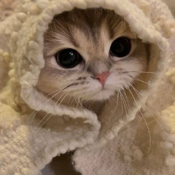 SaD_33