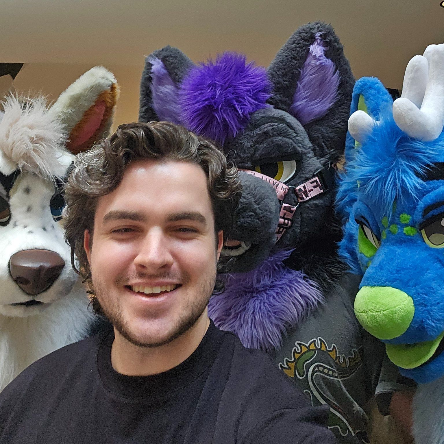 team_DestructoDog