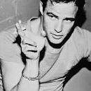 --Felicita avatar