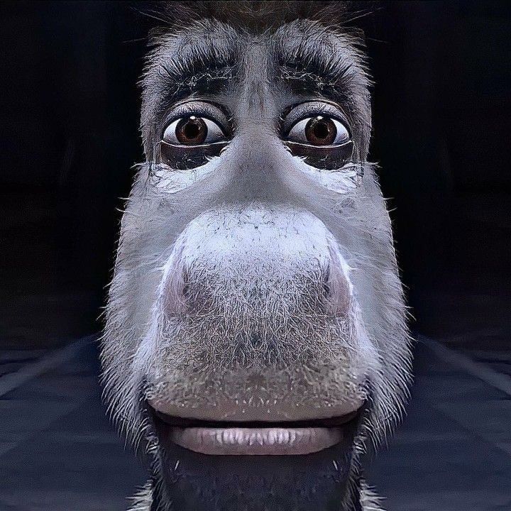 BARBOS521 avatar