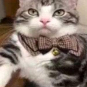 burhuyka avatar
