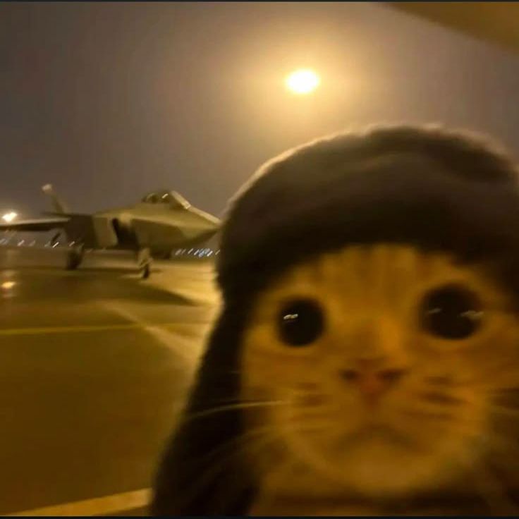 MeowMeow999