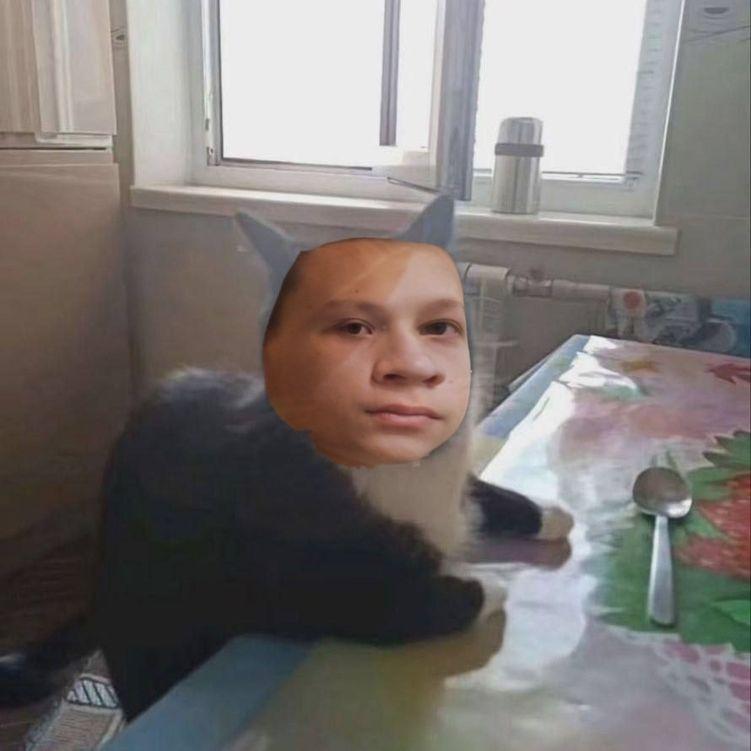 RadiAndreya avatar