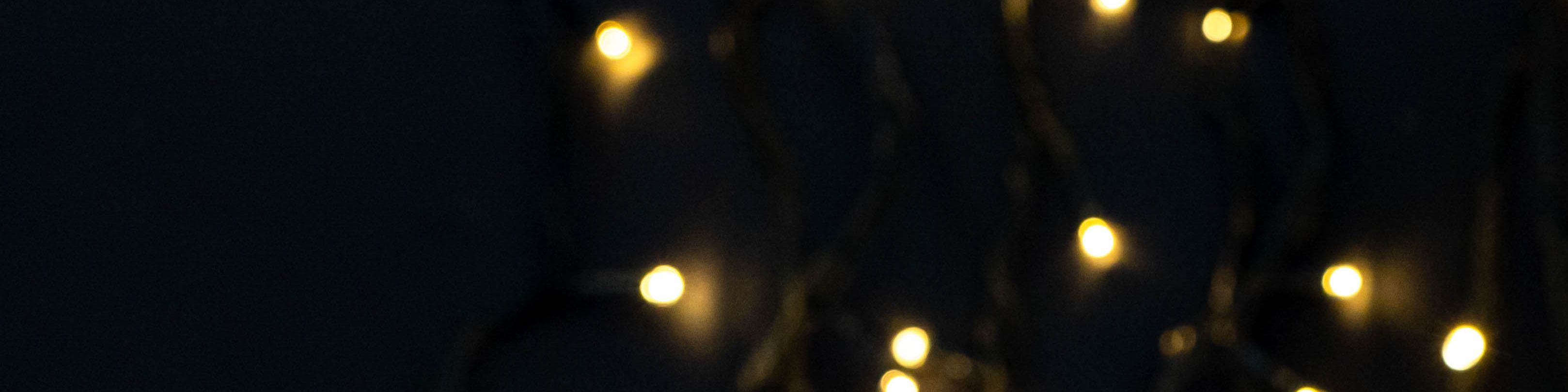 Faceit banner for @monty