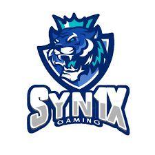 Syn1x avatar