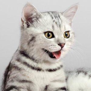 FilonoFF avatar