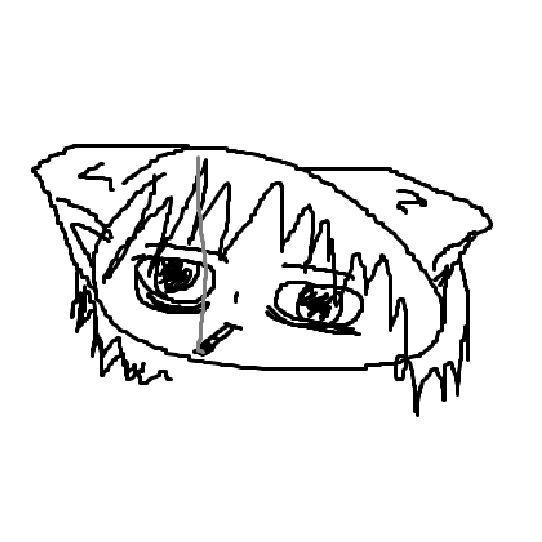 w0iz1 avatar