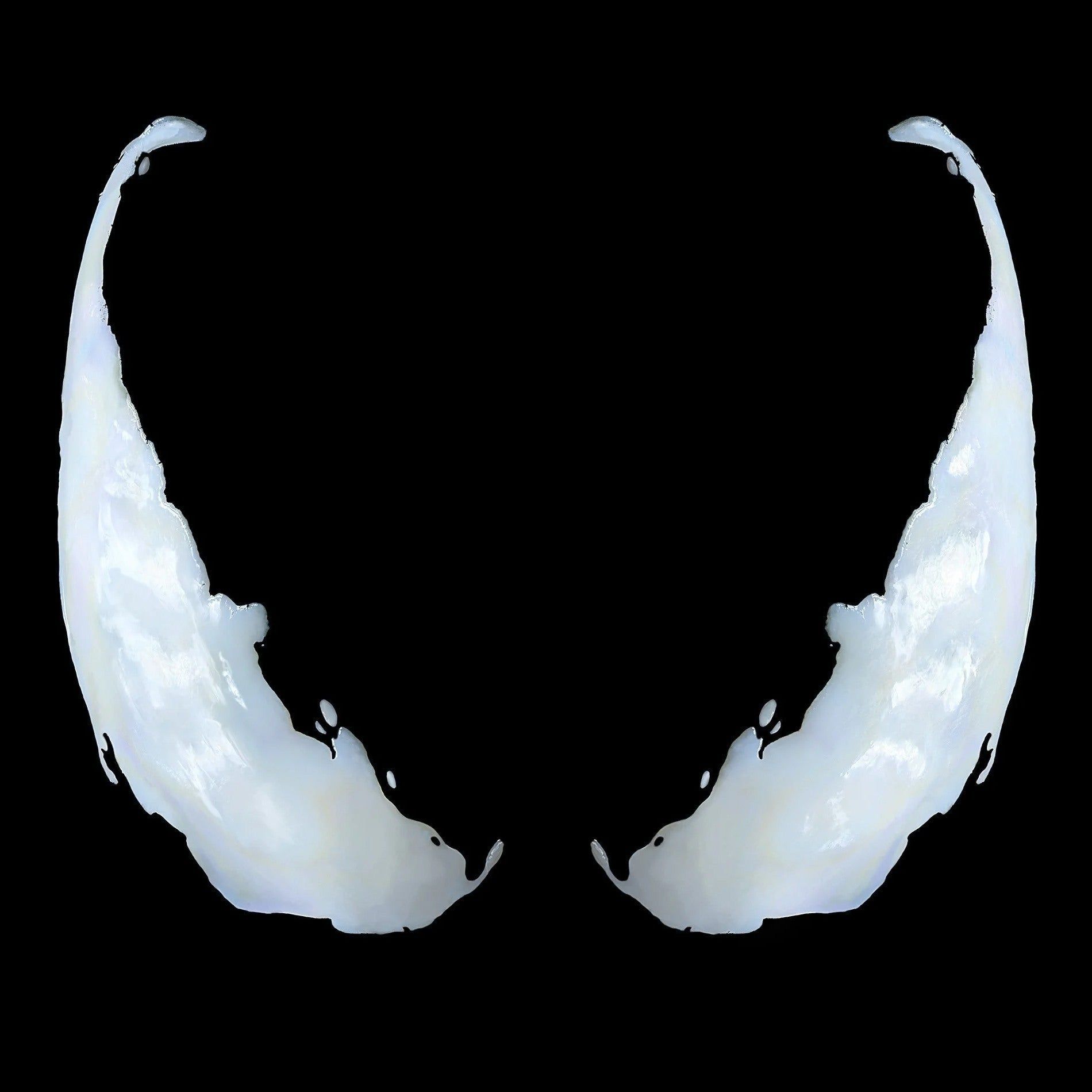 CaptVenom