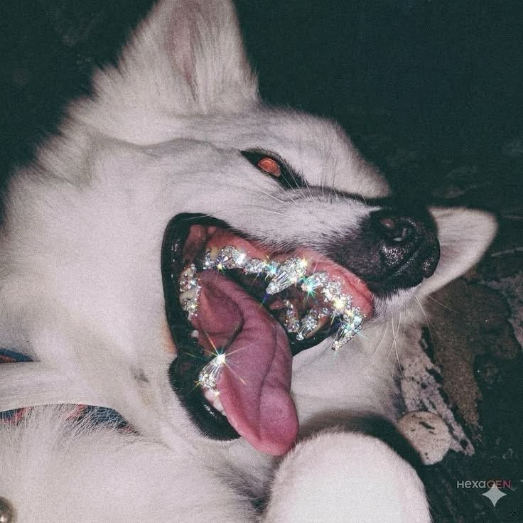 _xanaxuser9