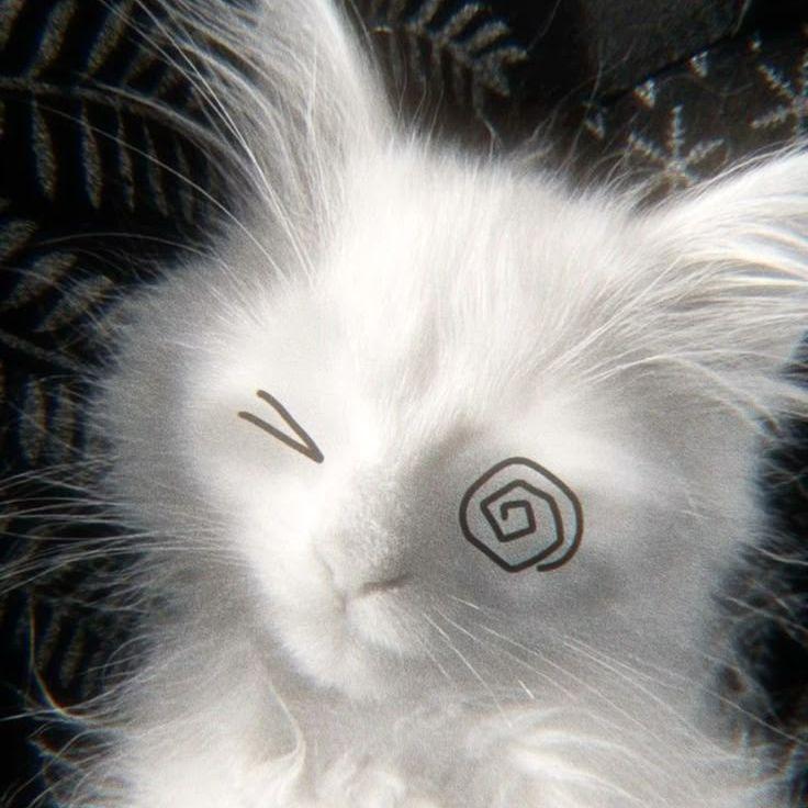 kakuja avatar