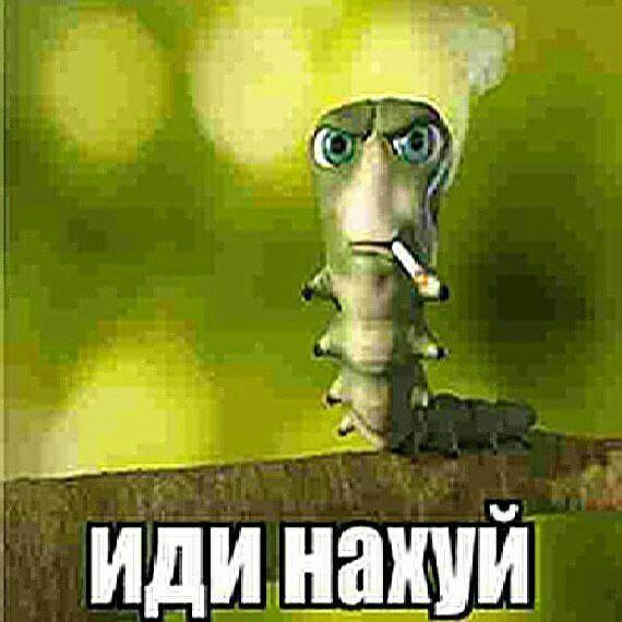 ShabitHapaef
